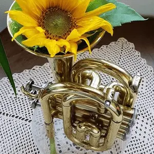 blasmusikradio Radio