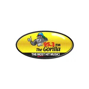 WZNF Gorilla 95.3 FM Live